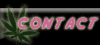 Contact Info
